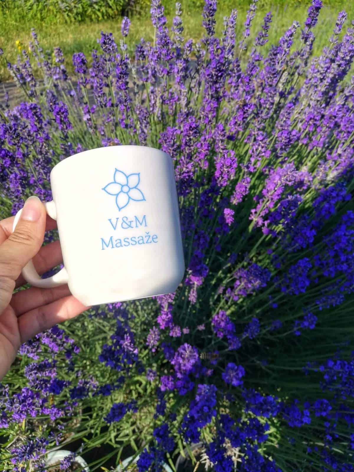 Lavanda u našem domaćinstvu